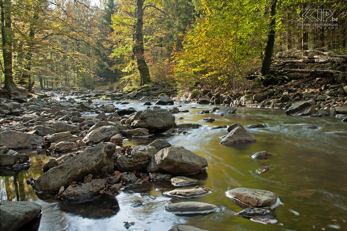 Herfst in de Hoge Venen Herfstfoto’s van het natuurgebied Hoge Venen in de buurt van Ternell langs de Helle en Getzbach riviertjes. Stefan Cruysberghs